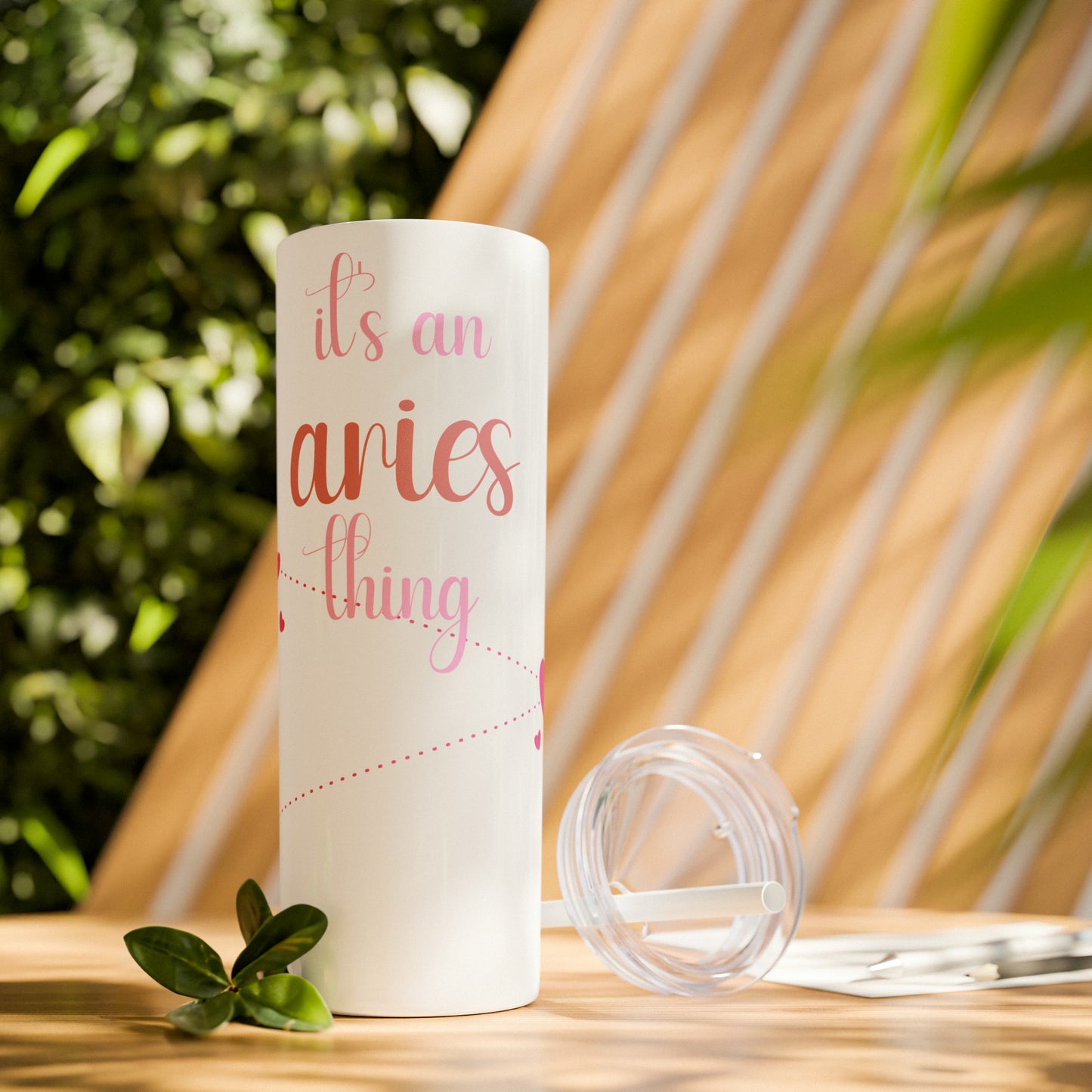 Skinny Tumbler with Straw, 20oz | Aries