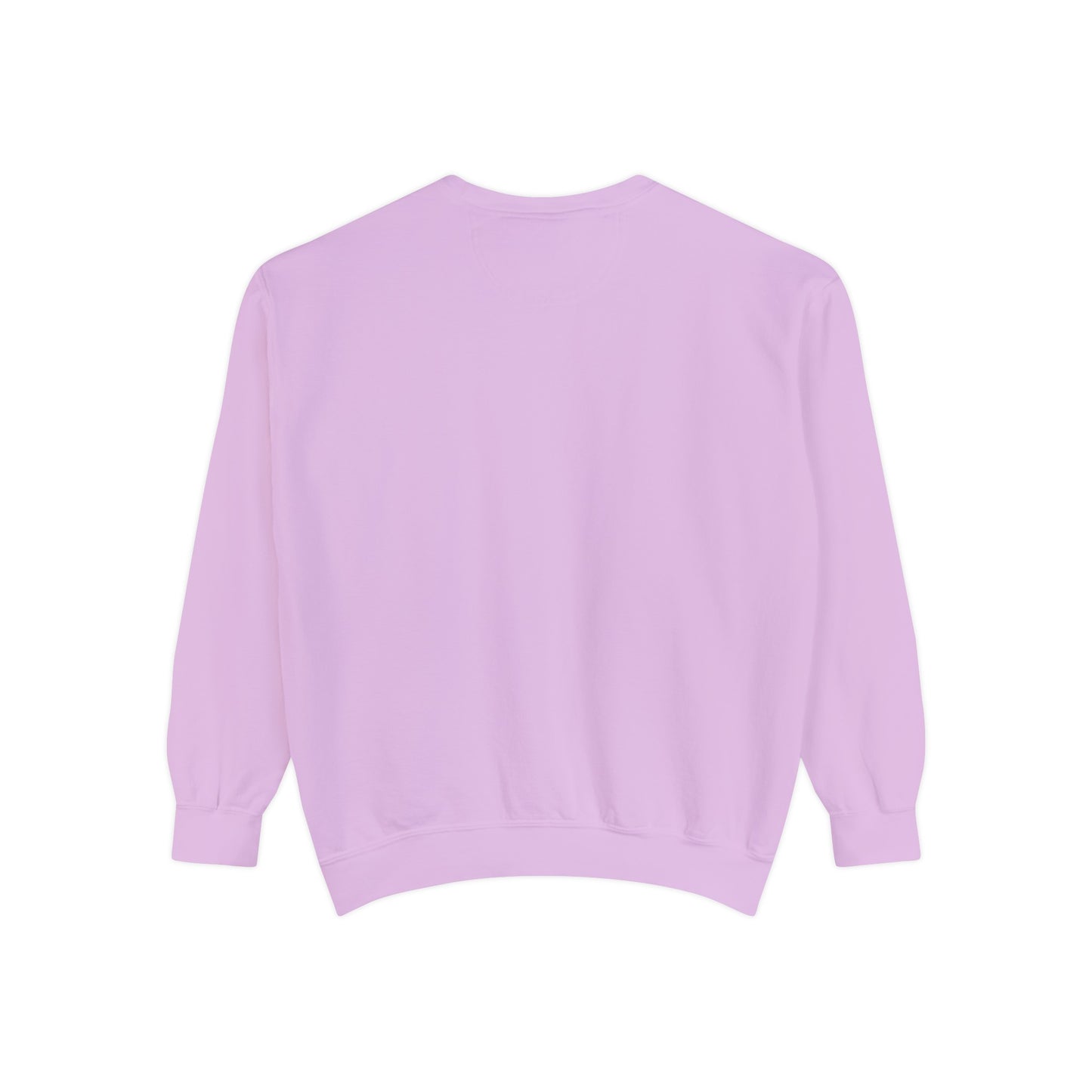 Crew Neck Sweatshirt- Aries